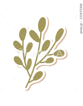 Flat kraft mistletoe branch sticker with green plant details in a badge shape. Birthday decoration for a gift or box, stylish flat graphic for modern use. 133475309