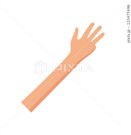 Flat hand gesture with four fingers raised. Bare palm and arm showing the number 4 for counting purposes. Clear sign and iconic pose, isolated versatile for math or educational uses. Flat hand gesture with four fingers raised. Bare palm and arm showing the number 4 for counting purposes. Clear sign and iconic pose, isolated versatile for math or educational uses. 133475496