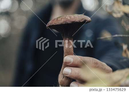 Hand Holding Mushroom in Late Autumn Forest 133475629
