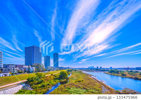 日本の東京都市景観11月24日。早朝の多摩川や一匹の水鳥、煌めく水面、武蔵小杉駅前のタワマン群など… 133475966