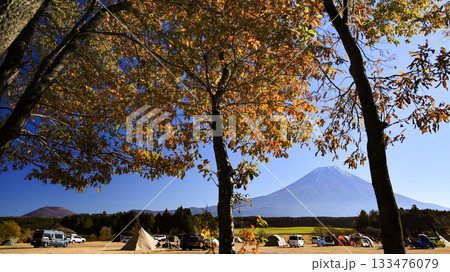 晩秋の富士山麓朝霧高原のキャンプ場から 紅葉と富士山の絶景 静岡県富士宮市 日本 晩秋の富士山麓朝霧高原のキャンプ場から 紅葉と富士山の絶景 静岡県富士宮市 日本 133476079