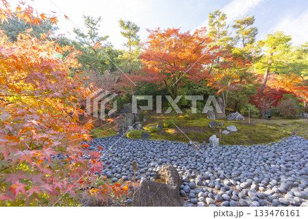 秋の京都　宝厳院　獅子吼の庭 　苦海・三尊石 133476161