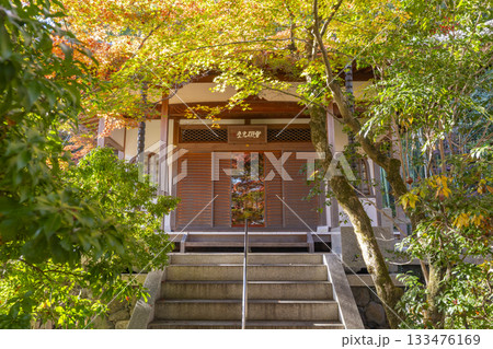 秋の京都 宝厳院 獅子吼の庭 代位碑堂 秋の京都 宝厳院 獅子吼の庭 代位碑堂 133476169