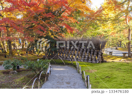 秋の京都 宝厳院 獅子吼の庭 豊丸垣 秋の京都 宝厳院 獅子吼の庭 豊丸垣 133476180