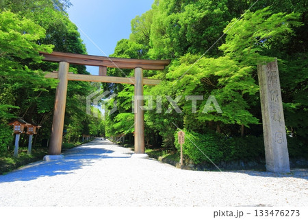 【奈良県】快晴の橿原神宮の北参道の鳥居 【奈良県】快晴の橿原神宮の北参道の鳥居 133476273