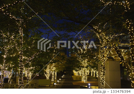 品川のイルミネーション 133476394