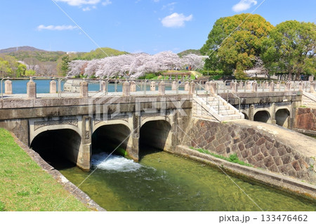 【岡山県】満開の桜と酒津公園 高梁川東西用水取配水施設 133476462