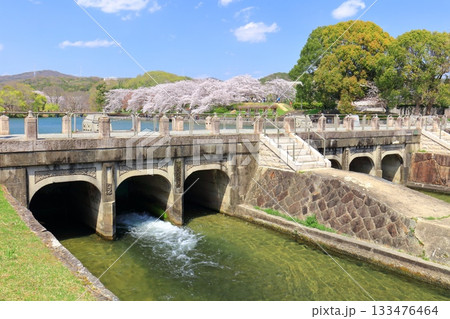 【岡山県】満開の桜と酒津公園 高梁川東西用水取配水施設 133476464