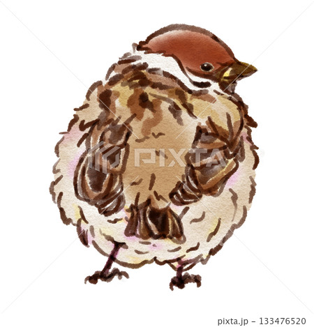 見返りスズメ（墨ペン水彩風） 133476520