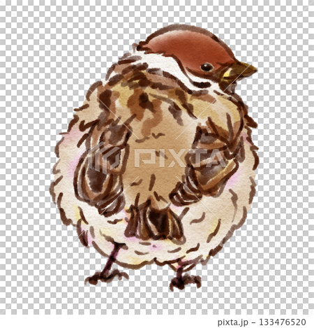 見返りスズメ（墨ペン水彩風） 133476520