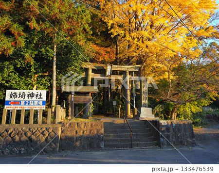姉埼神社(市原市) 133476539