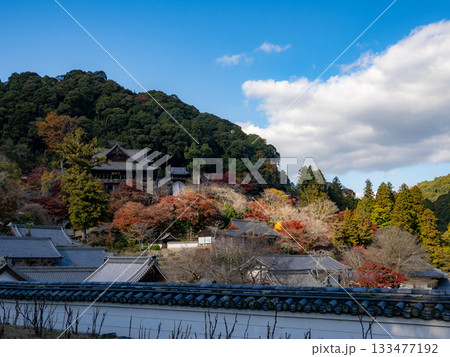 総本山長谷寺の秋 総本山長谷寺の秋 133477192
