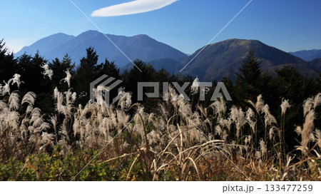 晩秋の富士山麓展望台から　天子山地毛無山と竜ヶ岳の絶景　　富士河口湖町　山梨県　日本 133477259