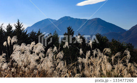 晩秋の富士山麓展望台から　天子山地毛無山の絶景　　富士河口湖町　山梨県　日本 133477260