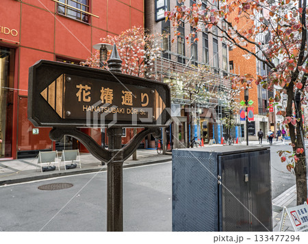 東京・銀座「花椿通り」の街路銘板 東京・銀座「花椿通り」の街路銘板 133477294