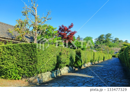 【三重県】晴天の松阪公園の御城番屋敷(殿町公園) 【三重県】晴天の松阪公園の御城番屋敷(殿町公園) 133477329
