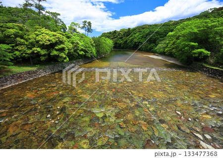 【三重県】晴天の伊勢神宮の五十鈴川 【三重県】晴天の伊勢神宮の五十鈴川 133477368