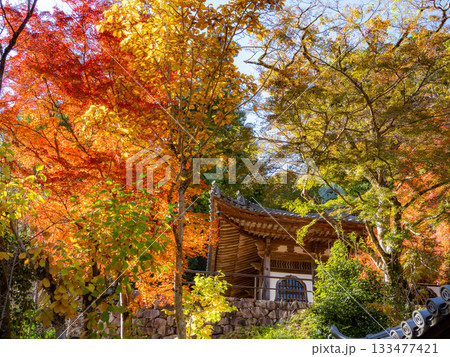 総本山長谷寺の秋 総本山長谷寺の秋 133477421