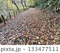 落ち葉でいっぱいの道  133477511