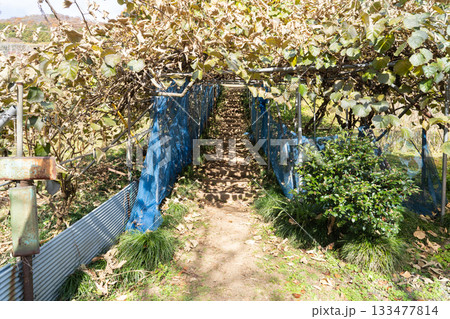 日向山の登山口（奥武蔵） 133477814