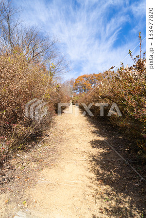 あしがくぼ山の花道(奥武蔵) あしがくぼ山の花道(奥武蔵) 133477820