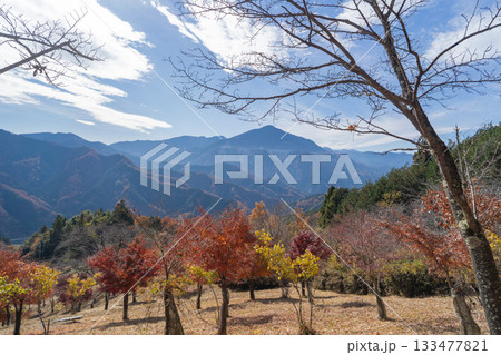 あしがくぼ山の花道から見た武甲山（奥武蔵） 133477821