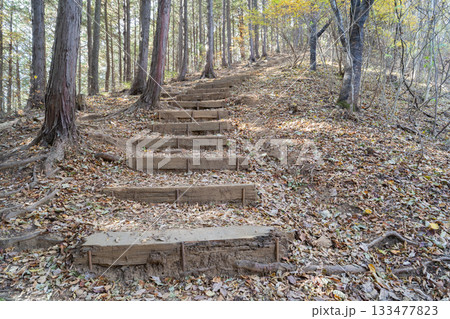 日向山へ向かう登山道（奥武蔵） 133477823