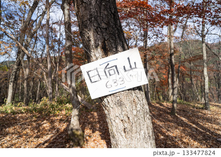 日向山の山頂（奥武蔵） 133477824