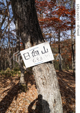 日向山の山頂(奥武蔵) 日向山の山頂(奥武蔵) 133477825