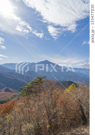 日向山の山頂から見た武甲山（奥武蔵） 133477830