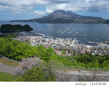 桜島を望む風光明媚な海潟漁港の空撮 桜島を望む風光明媚な海潟漁港の空撮 133478196