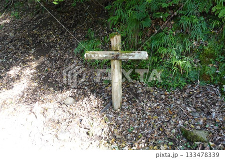 道標　⇚天岩戸神社　➡元伊勢内宮皇大神社 133478339