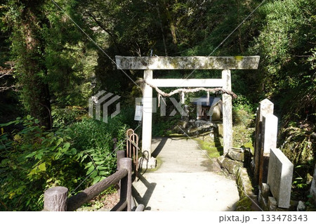天岩戸神社　鳥居 133478343