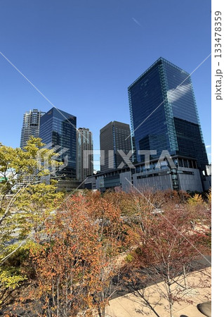 秋晴れ 紅葉色ずく うめ北公園 グラングリーン大阪 秋晴れ 紅葉色ずく うめ北公園 グラングリーン大阪 133478359
