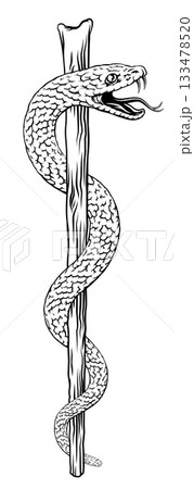 Rod of Asclepius Caduceus Medical Doctor Symbol 133478520