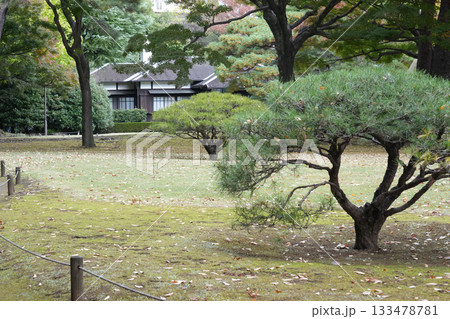 殿ヶ谷戸庭園 133478781