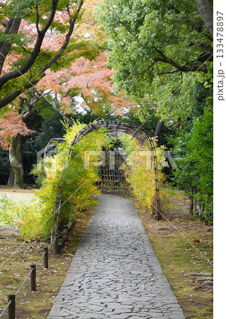 秋の殿ヶ谷戸庭園 秋の殿ヶ谷戸庭園 133478897