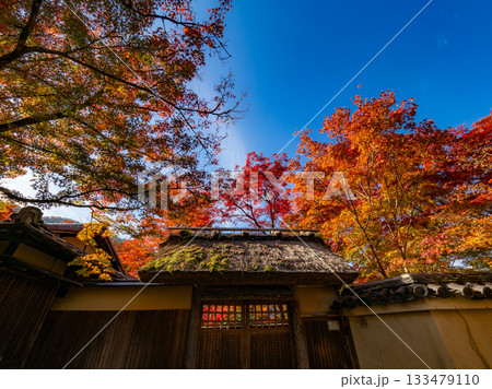秋色に染まる京都の寺院 秋色に染まる京都の寺院 133479110