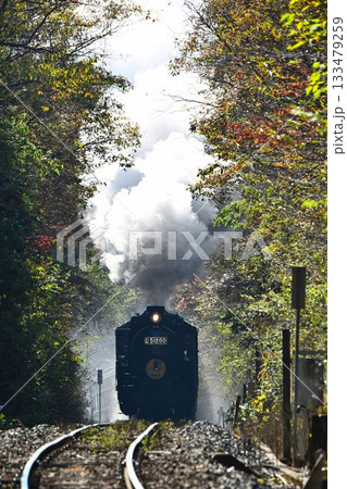 SLやまぐち号　紅葉映える　逆篠目　田代トンネルを抜け　篠目へ下る　 133479259