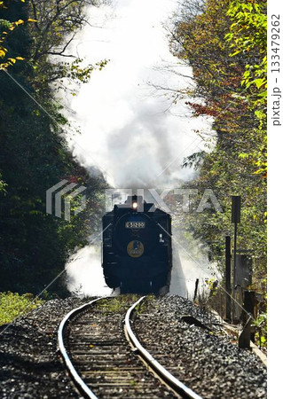 SLやまぐち号　紅葉映える　逆篠目　田代トンネルを抜け　篠目へ下る　 133479262