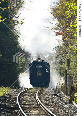 SLやまぐち号 紅葉映える 逆篠目 田代トンネルを抜け 篠目へ下る SLやまぐち号 紅葉映える 逆篠目 田代トンネルを抜け 篠目へ下る 133479263