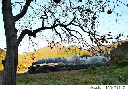 SLやまぐち号　紅葉える　晩秋の津和野を出発 133479347