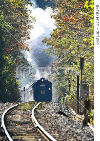 SLやまぐち号 紅葉映える 逆篠目 田代トンネルを抜け 篠目へ下る SLやまぐち号 紅葉映える 逆篠目 田代トンネルを抜け 篠目へ下る 133479348
