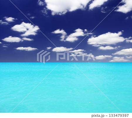 sea 133479397