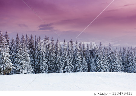 winter landscape 133479413