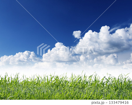 field 133479416