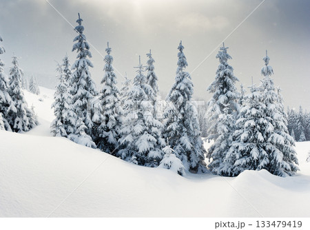 winter landscape winter landscape 133479419