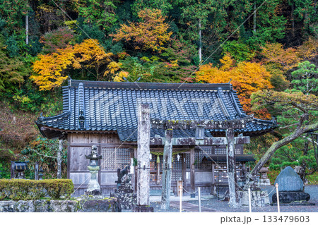 日本の鳥取県のとても美しい秋の風景 133479603