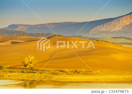 Spanish nature landscape in Andalucia. 133479673