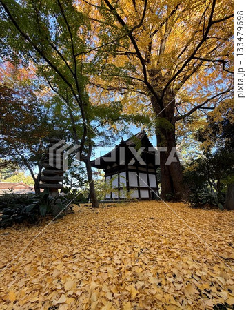 三渓園にある旧天瑞寺寿塔覆堂と大銀杏 三渓園にある旧天瑞寺寿塔覆堂と大銀杏 133479698